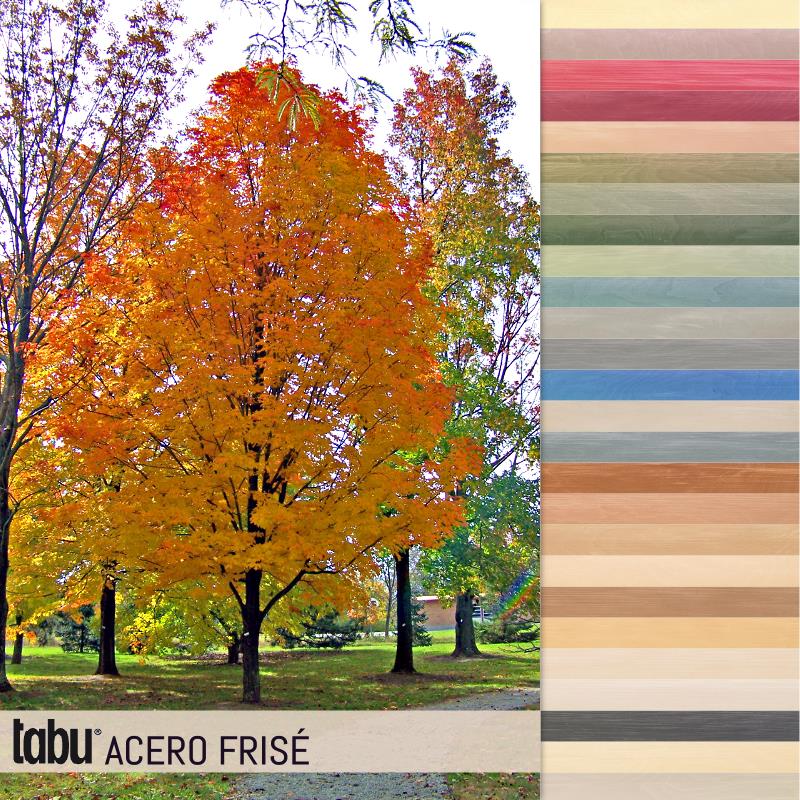 Tabu gefärbte Furniere Acero01
